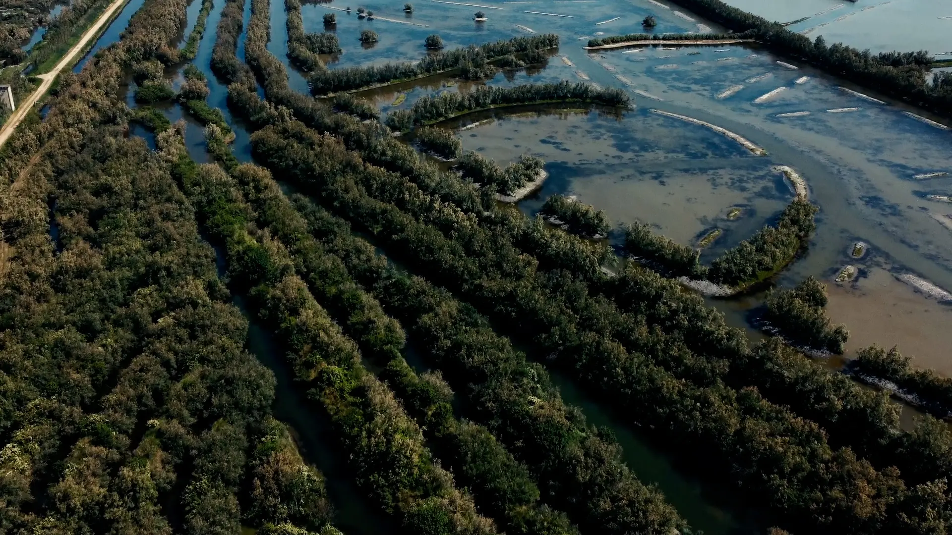 Valli da pesca venete riprese dall’alto, paesaggio lagunare di Val Morosina