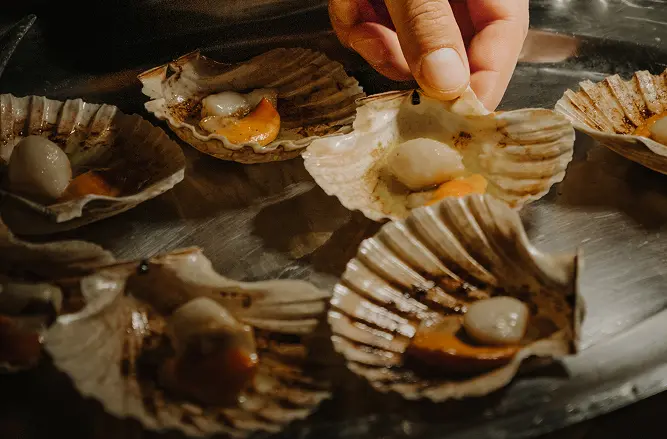 Cooked oysters from a Val Morosina cooking class, where Italian culinary tradition meets local ingredients and the slow rhythm of the lagoon