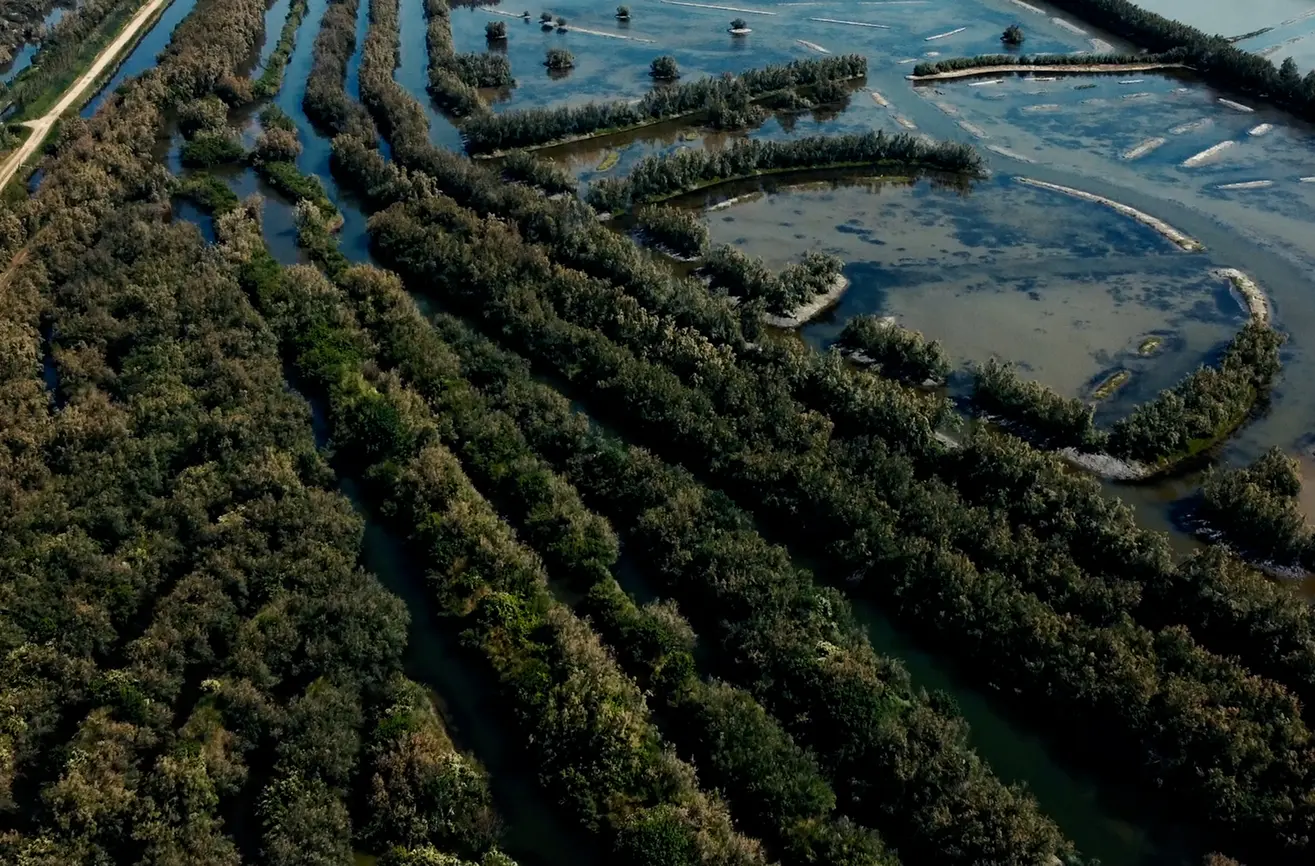 Aerial view of Val Morosina’s lagoon with seagrass meadows and winding canals — a living ecosystem supporting blue carbon capture and biodiversity